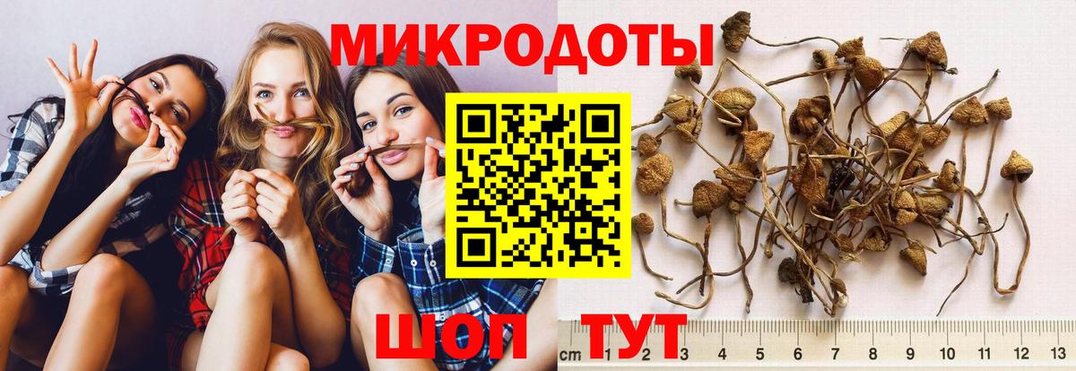 Миллерово  Псилоцибиновые грибы прущие грибы  Вход с VPN 